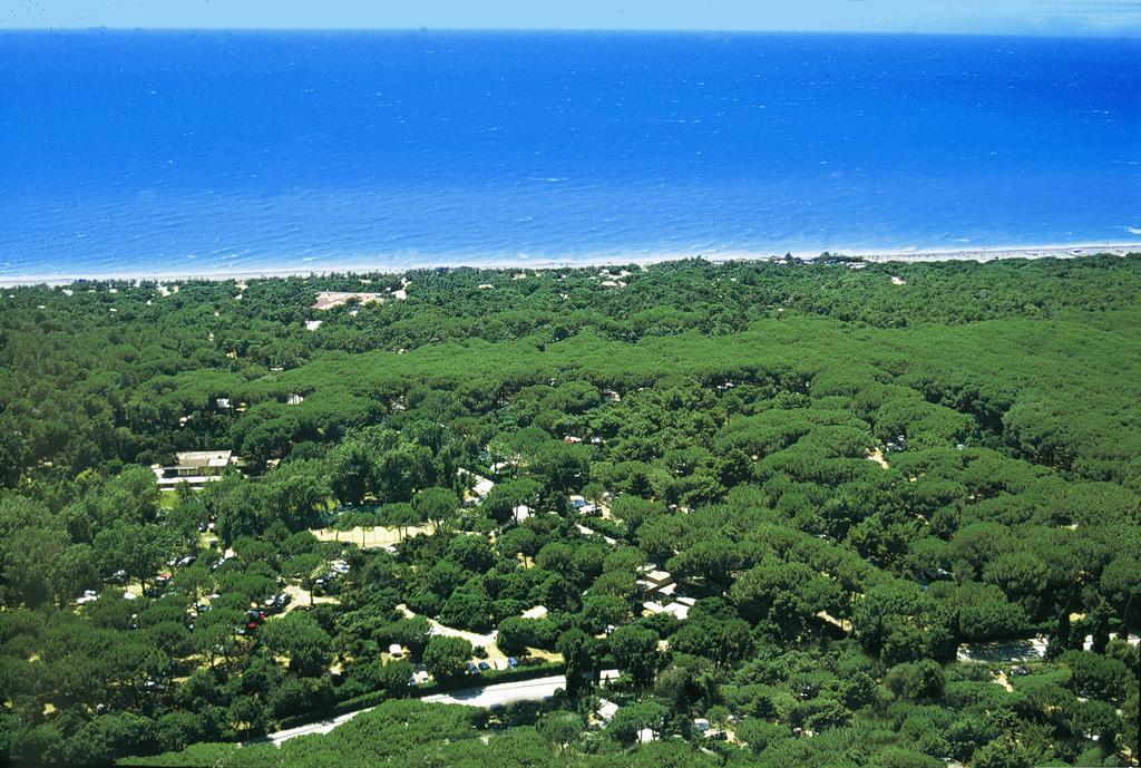 Le Esperidi Camping Ecoresort Marina Di Bibbona Exteriér fotografie