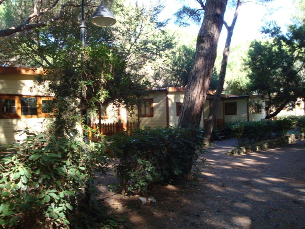 Le Esperidi Camping Ecoresort Marina Di Bibbona Exteriér fotografie