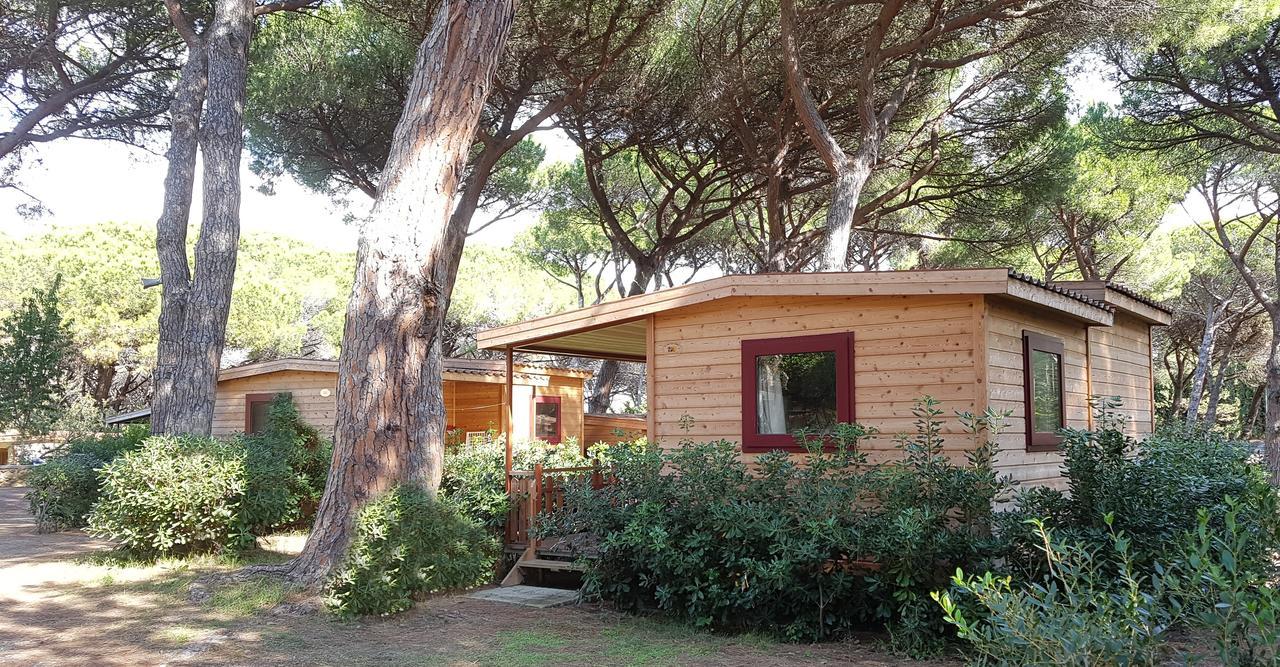 Le Esperidi Camping Ecoresort Marina Di Bibbona Exteriér fotografie
